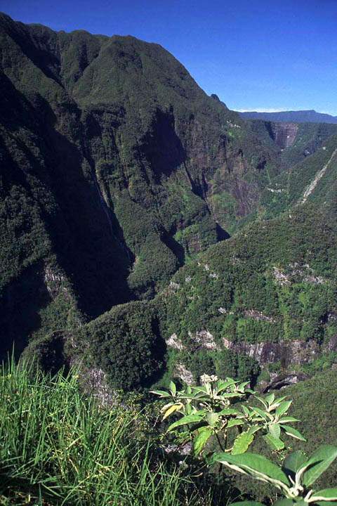 af_la_reunion_009.JPG - Einer von vielen Wasserfällen in der Takamaka-Schlucht auf La Réunion