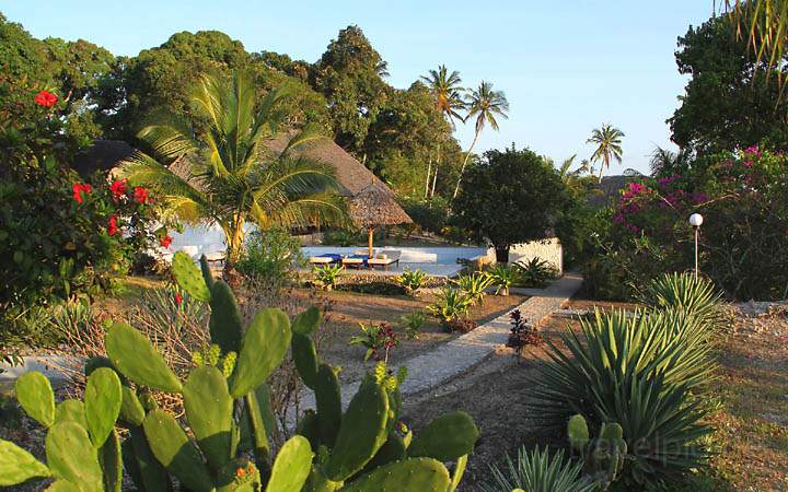af_tz_hakuna_matata_beach_lodge_008.jpg - Blick auf den Pool im tropischen Garten der Hakuna Matata Beach Lodge