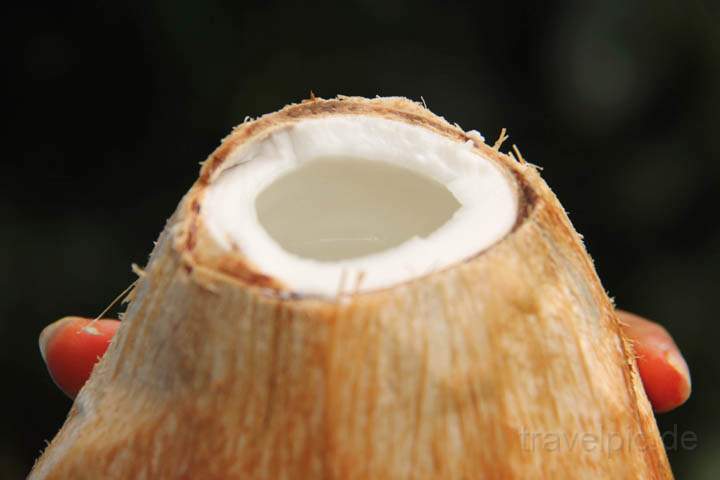 af_tz_spicetour_021.jpg - Die frisch geöffnete Kokosnuss mit dem süss schmeckenden Kokoswasser und dem Kokosfruchtfleisch