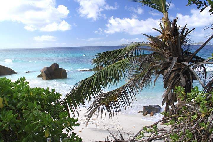 af_sey_la_digue_005.jpg - Ein einsamer Strand an der Nordostkste der Seychellen Insel La Digue
