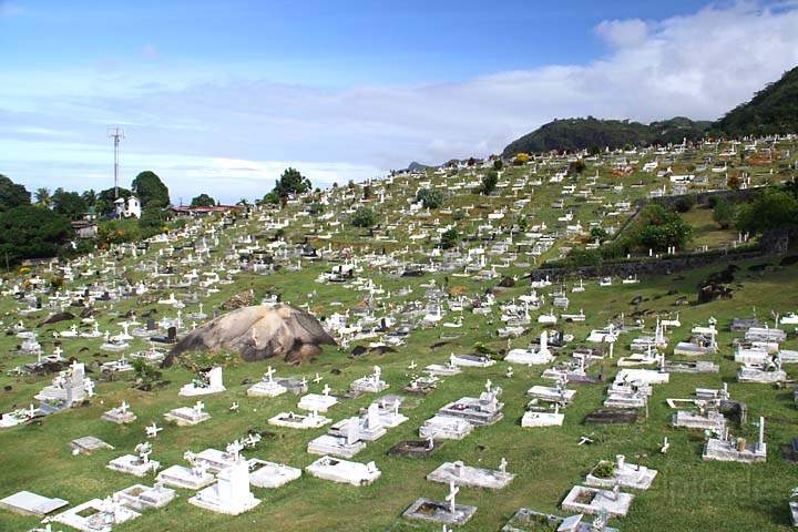 af_sey_mahe_030.jpg - Der sdlich von Victoria angelegte Friedhof von Mont Fleuri Ward auf Mah