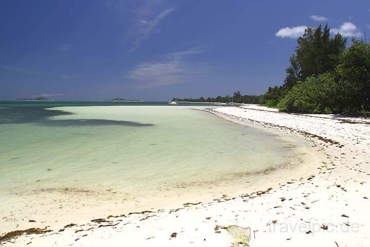 af_sey_praslin_013.jpg - Ein weiteres Bild am menschenleeren und paradiesischen Traumstrand Grand Anse auf Praslin