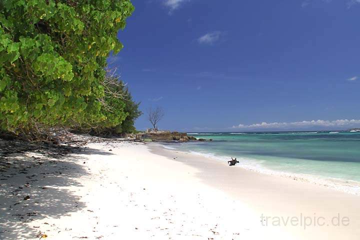af_sey_praslin_014.jpg - Ungestelltes Bild am Strand von Grand Anse im Süden der Seychellen Insel Praslin