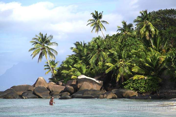 af_sey_silhouette_018.jpg - Ein einheimischer Fischer vor Palmen auf Silhouette
