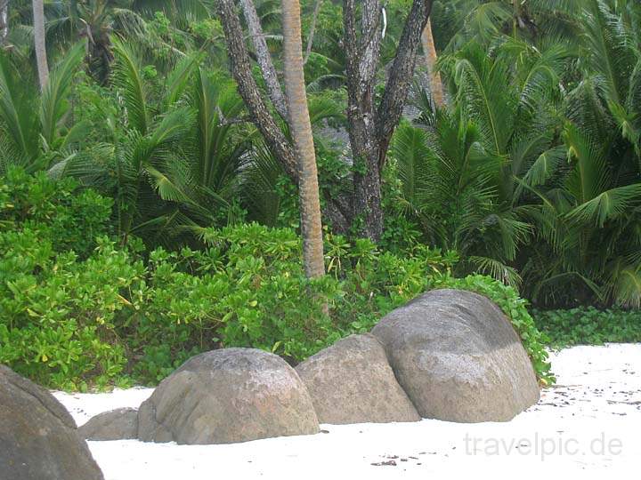 af_sey_silhouette_021.jpg - ppige Vegetation und Felsen vor dem Strand der Insel Silhouette