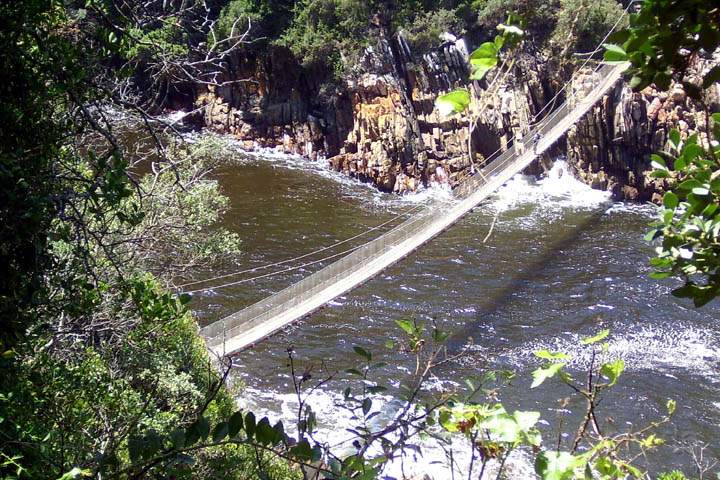 af_suedafrika_017.jpg - Hängebrücke im Tsitsikamma Nationalpark