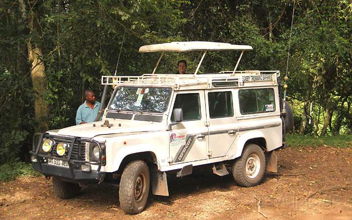 af_tz_arusha_np_003.jpg - Per Safari-Jeep mit Guide durch den Nationalpark