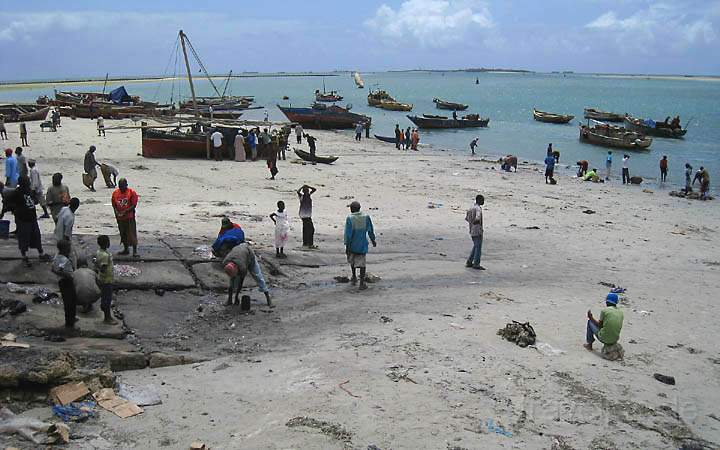 af_tz_dar_es_salaam_007.jpg - Buntes Treiben am Hafenstrand von Dar es Salaam