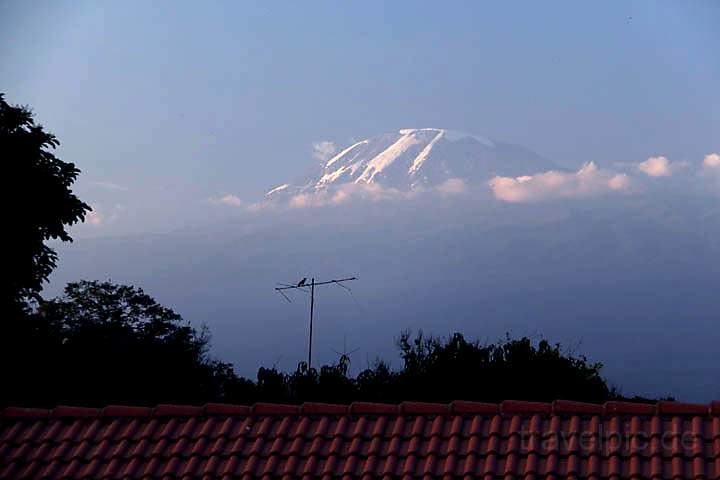 af_tz_kilimanjaro_003.jpg - Der Kili von Moshi-Stadt aus gesehen