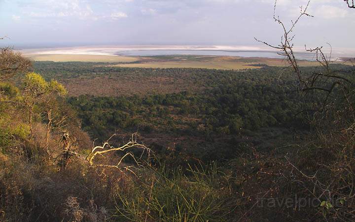 af_tz_lake_manyara_np_022.jpg - Der Blick auf Lake Manyara Nationalpark von einem Aussichtspunkt