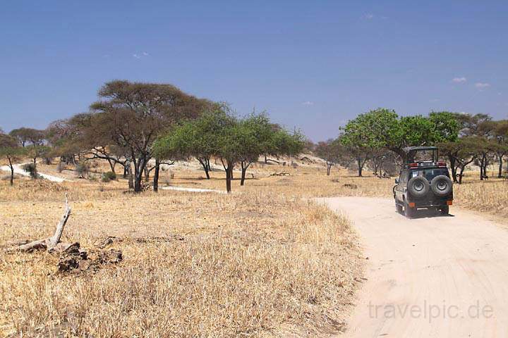 af_tz_tarangire_np_007.jpg - Eine typische Szene bei der Safari in Tansania