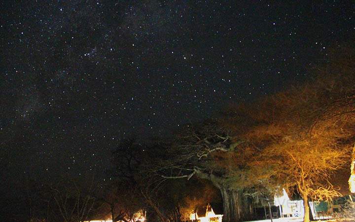 af_tz_tarangire_np_028.jpg - Ein faszinierender Sternenhimmel ist über dem Tarangire Park zu sehen