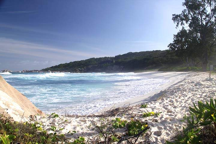 af_sey_la_digue_035.jpg - Am wunderschönen Traumstrand Grand Anse auf La Digue, Seychellen