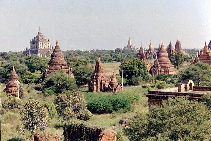 as_myanmar_042.jpg - Die Ebene von Bagan