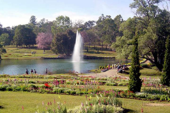 as_myanmar_055.jpg - Botanischer Garten in Pyin U Lwin