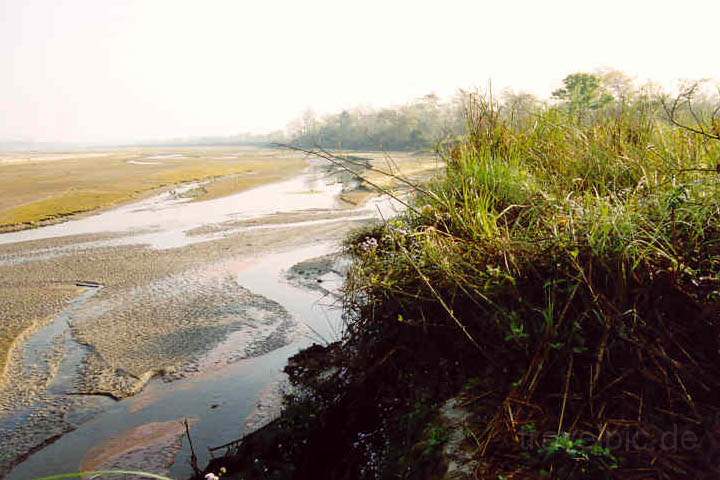 as_np_chitwan_006.JPG - Feuchtgebiet und Grasland im Chitwan Nationalpark