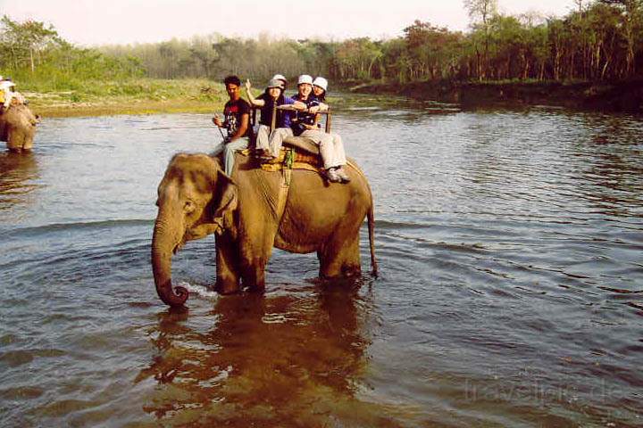 as_np_chitwan_012.JPG - Safari auf einem Elefanten durch den Chitwan Nationalpark