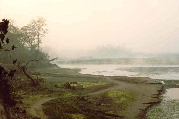 as_np_chitwan_021.JPG - Morgenstimmung am Fluss im Chitwan Nationalpark