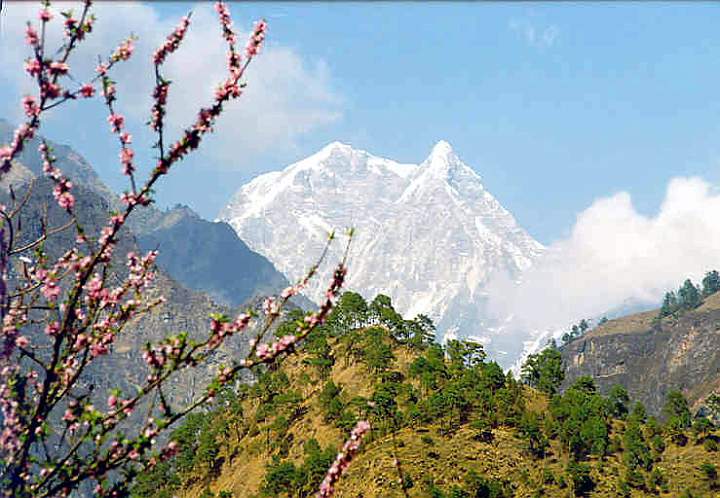 as_np_annapurna_020.JPG - Blick auf die Himalaya-Bergkette auf dem Weg nach Ghorepani