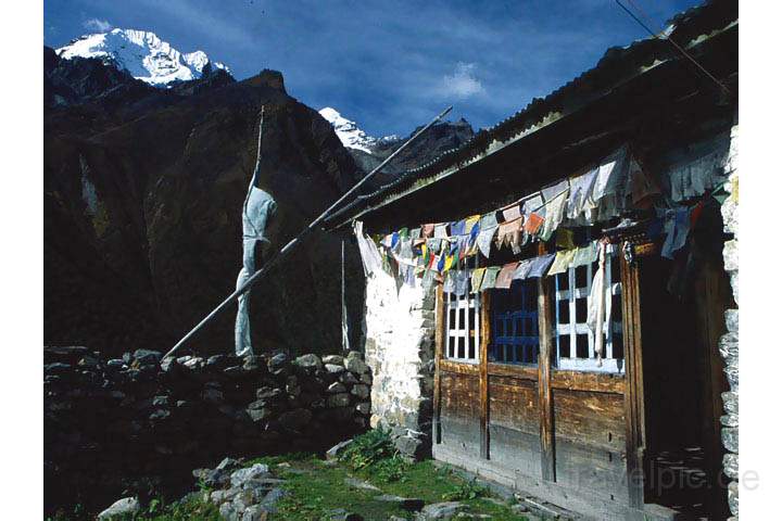 as_np_langtang_007.JPG - Berghütte auf dem Langtang Trek in Nepal
