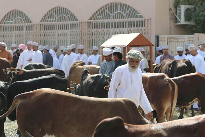 asien_om_017.jpg - Omanische Mnner auf dem Inzwa Viehmarkt am Freitag