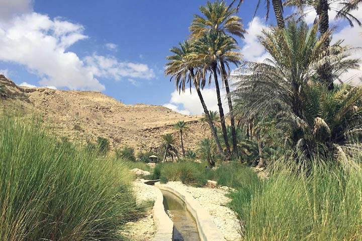 asien_om_039.jpg - Eine Bewsserung (Falaj) am Wadi Bani Khalid im Oman