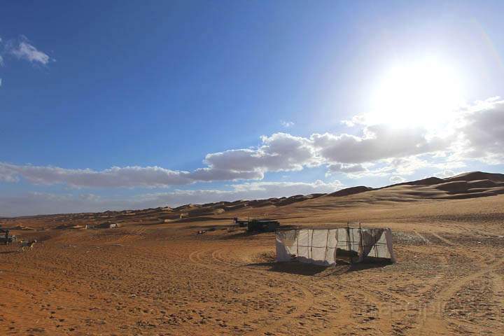 asien_om_046.jpg - Die Nord-Sd verlaufenden Dnen der Wahiba Sands Wste im Oman