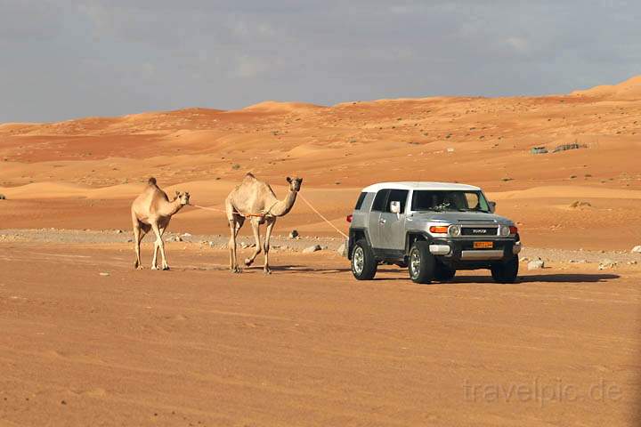 asien_om_043.jpg - SUVs werden in der Wste des Oman vielfltig eingesetzt