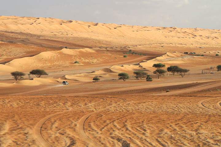 asien_om_045.jpg - Eine Autopiste in der Wahiba Sands Wste im Osten des Omans