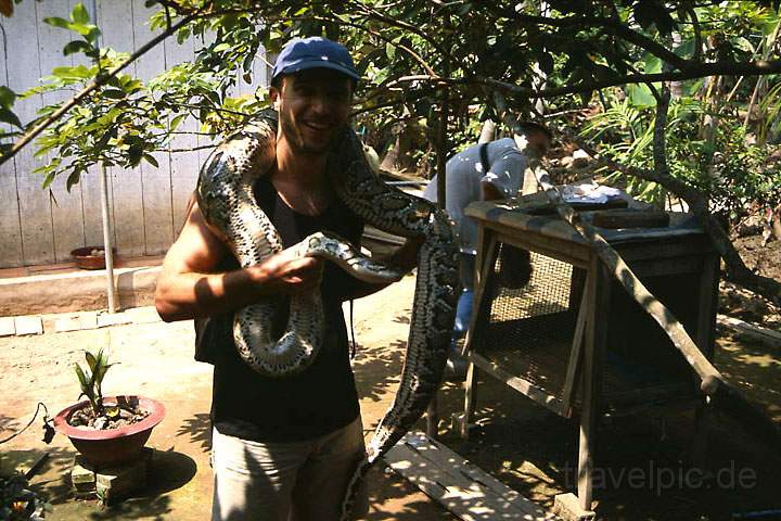as_vn_cu_chi_006.jpg - Eine 20kg Boa auf den Schultern in einer Schlangenfarm im Mekong-Delta, Vietnam