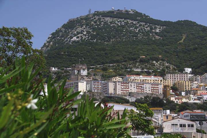 eu_gb_gibraltar_003.jpg - Blick auf den Affenfelsen und das Castle von Gibraltar