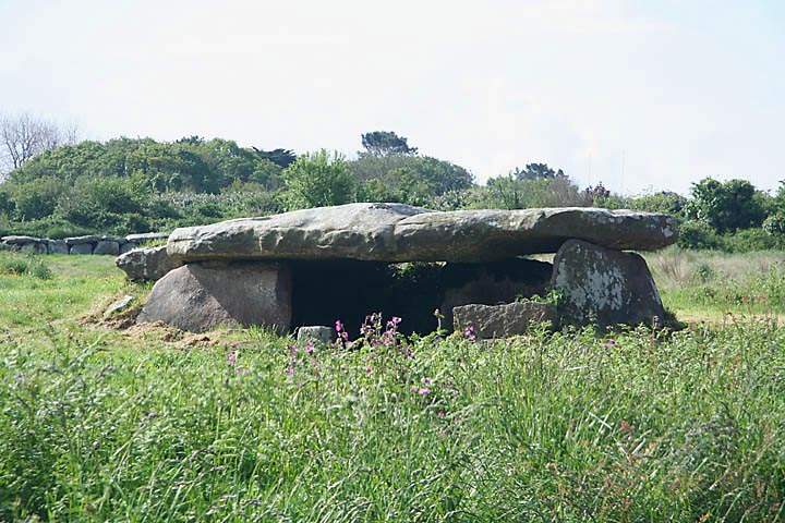 eu_fr_bretagne_007.jpg - Alte Steingräber bei Tregastel im Nordosten der Bretagne