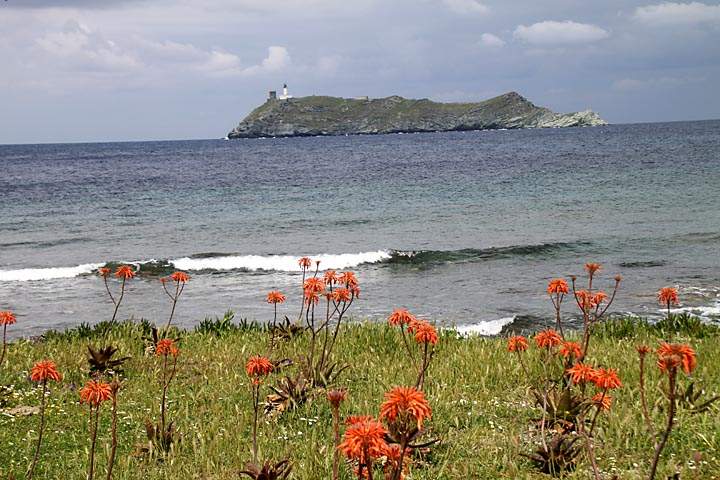 eu_fr_korsika_IMG_6374.jpg - Blick vom Strand in Tallare auf die Insel