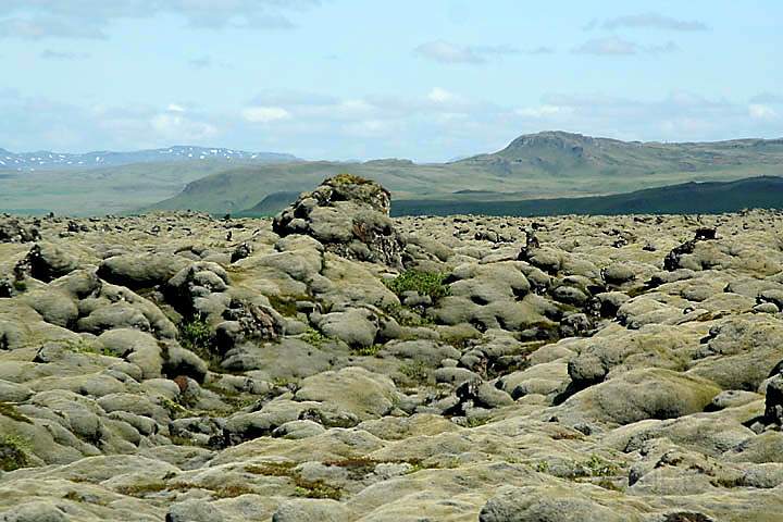 eu_island_034.jpg - Moosbewachsene Lavafelsen im Lavafeld Eldhraun an der Südküste von Island