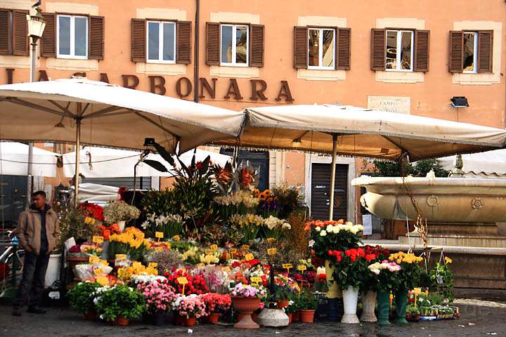 eu_it_rom_036.jpg - Blumenverkauf auf dem kleinen aber feinen Platz Campo de? Fiori