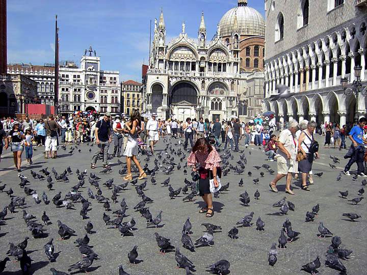 eu_it_venedig_012.jpg - Die vielen Tauben am Markusplatz mit dem Dom im Hintergrund