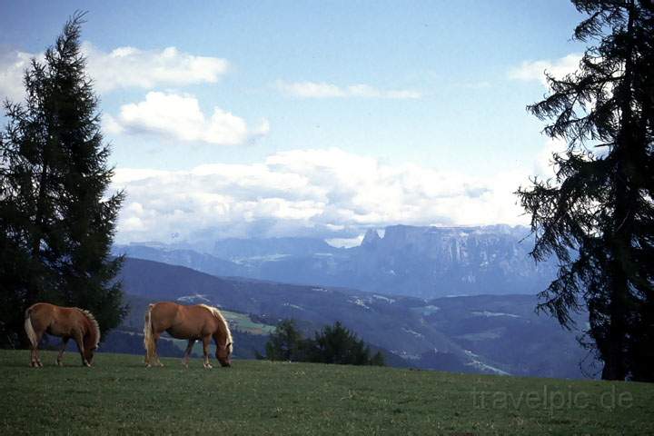 eu_at_alpen_009.JPG - Von Lafen nach Jenesien mit Blick zu den Dolomiten auf dem Fernwanderweg E5 in den Alpen