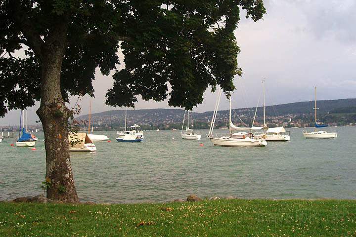 eu_ch_zuerich_012.jpg - Boote auf dem Zürichsee bei Zürich