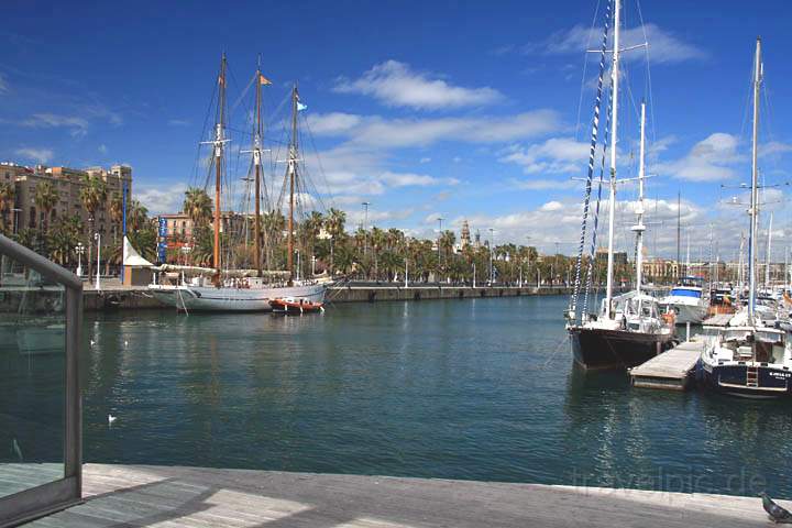 eu_es_barcelona_002.jpg - Segelschiffte an der Moll de les Drassanes im Hafen von Barcelona