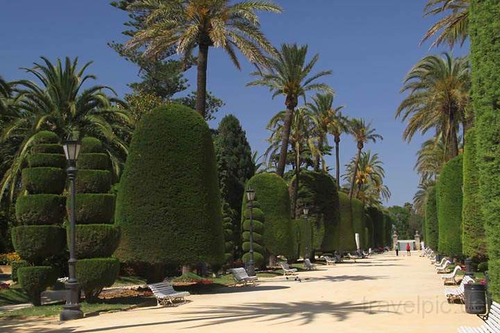 eu_es_cadiz_024.jpg - Der wunderschön angelegte Parque Genovés in Cadiz