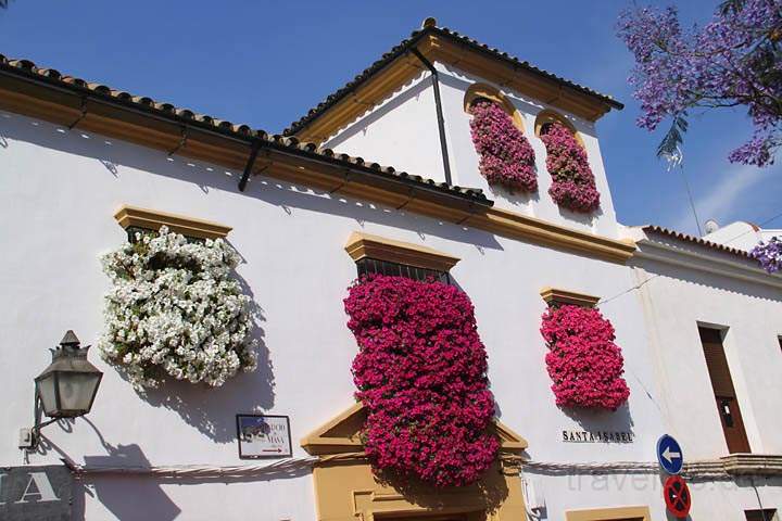 eu_es_cordoba_005.jpg - Wunderschöne Blumen an der Häuserfront von Cordoba
