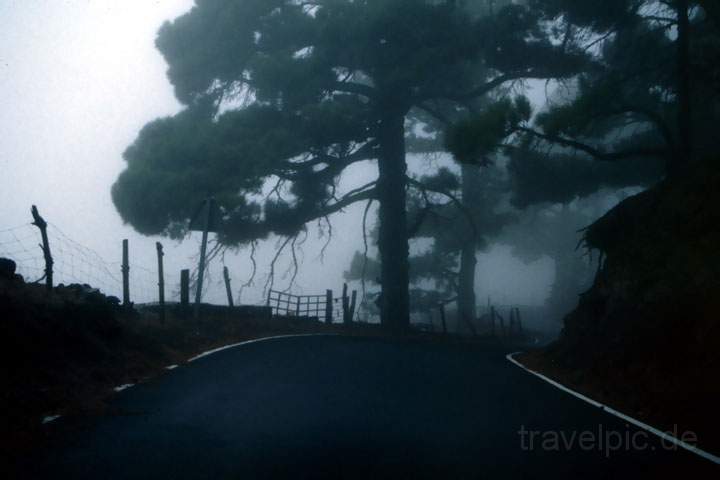 eu_es_el_hierro_009.JPG - Straße im Nebel auf der menschenleeren Insel El Hierro, Kanarische Inseln