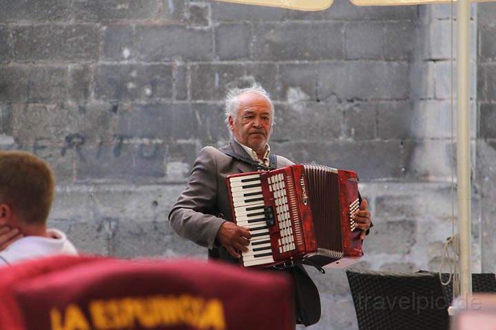 eu_es_jerez_008.jpg - Ein Musikant auf den Straßen von Jerez de la Frontera