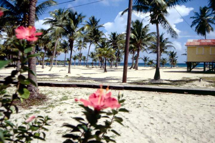 ma_belize_007.JPG - Der traumhafte und fast unberührte Strand von Placencia im Süden von Belize
