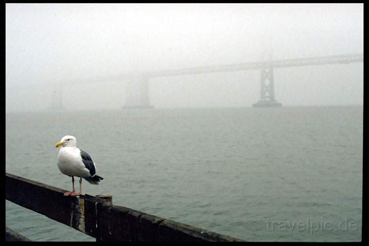 na_us_san_francisco_006.JPG - Nebel an der Bay Bridge in San Francisco, USA