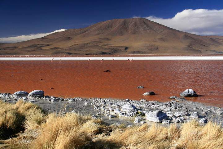 sa_bo_laguna_colorada_010.jpg - Atemberaubende Landschaft an der Laguna Colorada in Bolivien