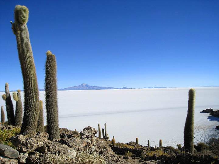 sa_bo_salar_de_uyuni_009.jpg - Die Salar de Uyuni auf knap 3.700m Höhe besitzt die größte Salzfläche der Erde