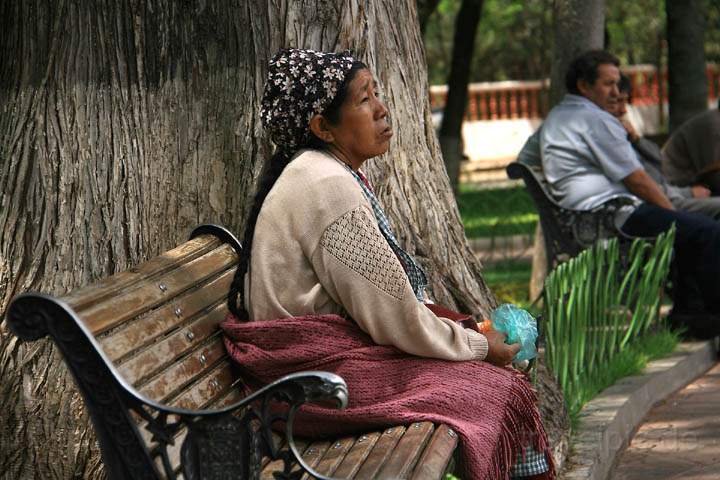 sa_bo_sucre_013.jpg - Eine alte Frau sucht Ruhe im schönen Parque Bolivar von Sucre