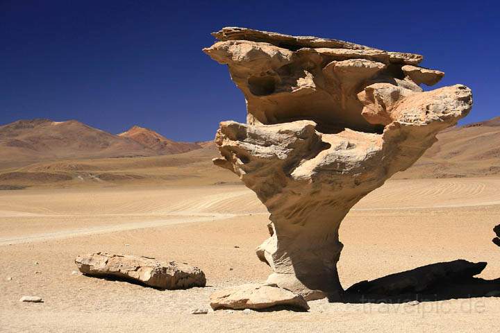sa_bo_arbol_de_piedra_002.jpg - Der bekannte Steinbaum Árbol de Piedra in Bolivien (4.580m)