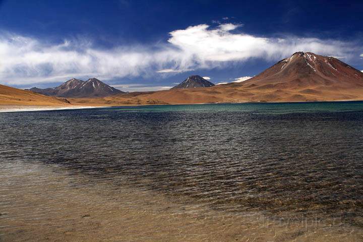 sa_cl_laguna_miscanti_010.jpg - Das klare Wasser der Laguna Miscanti in Chile